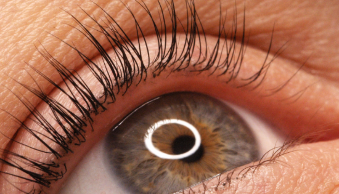 Lash Lifting Behandlungen für natürliche, voluminöse Wimpern in Nürnberg